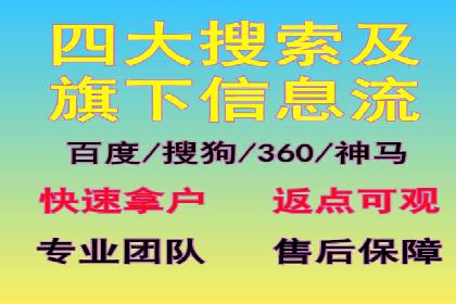 搜索引擎营销（SEM）推广策略案例分享